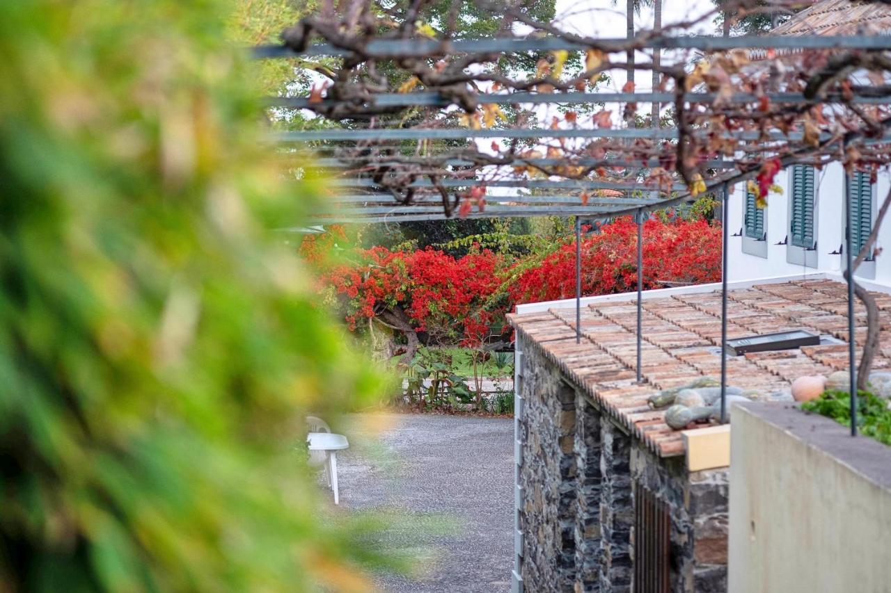 Ferienwohnung Ourmadeira - Loja Da Lenha, Charming Funchal  Exterior foto